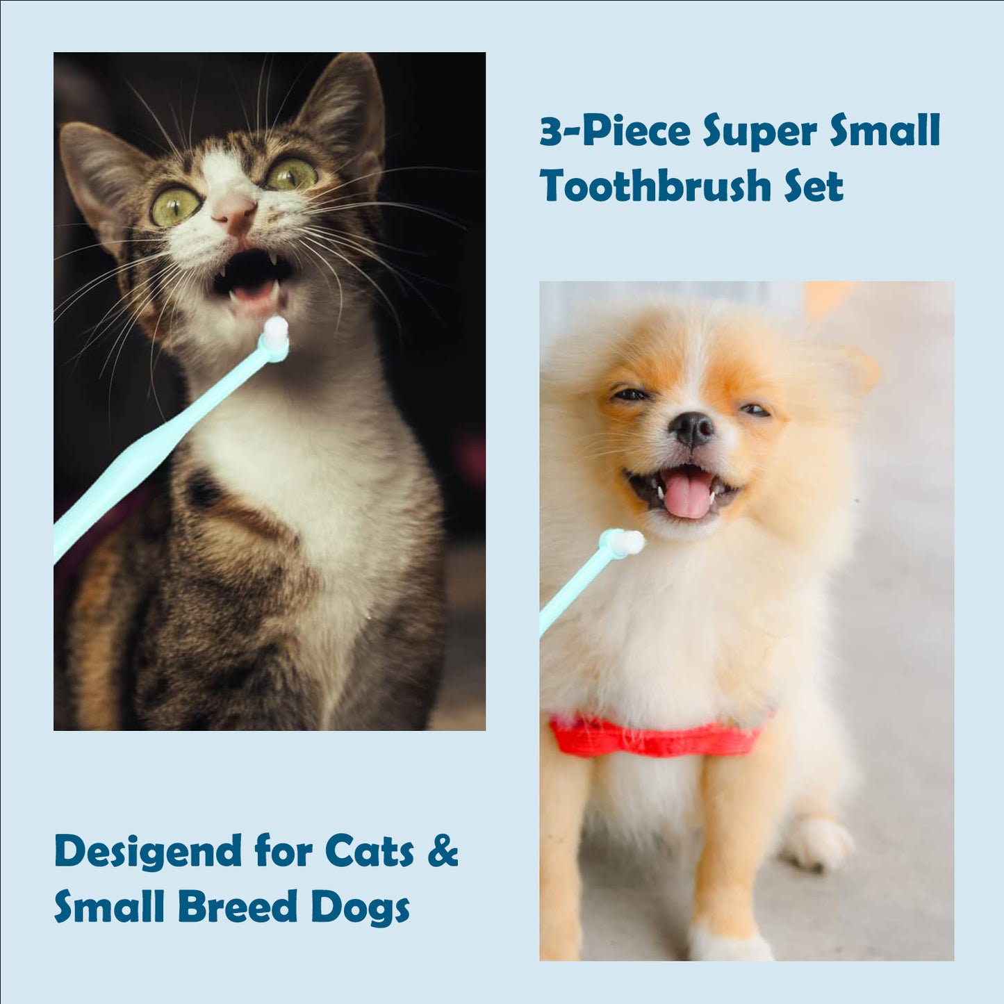 Pet Republique Small 1/4-in Pointed Brush, 1/4-in Flat Brush, 3/8-in Regular Brush Toothbrush Kit