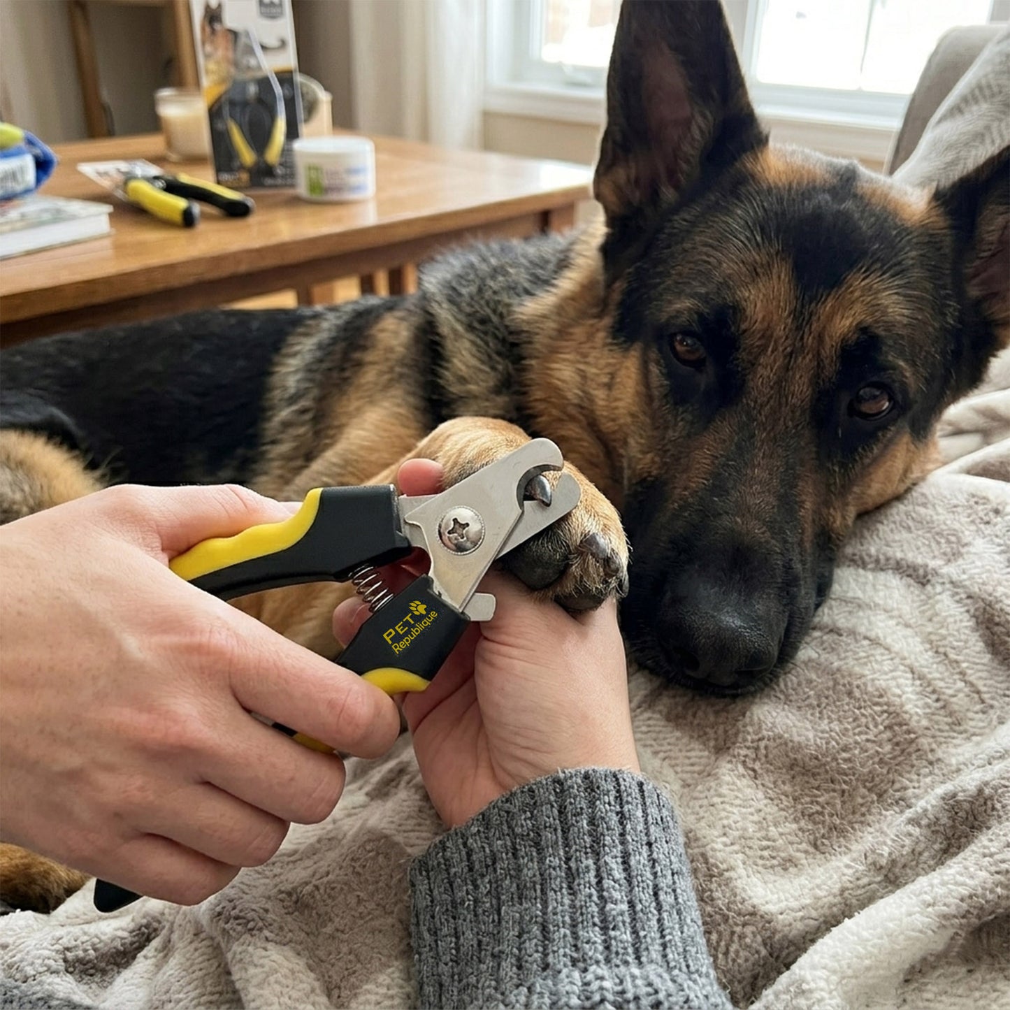 Pet Republique Dog Nail Clipper for Large Breeds