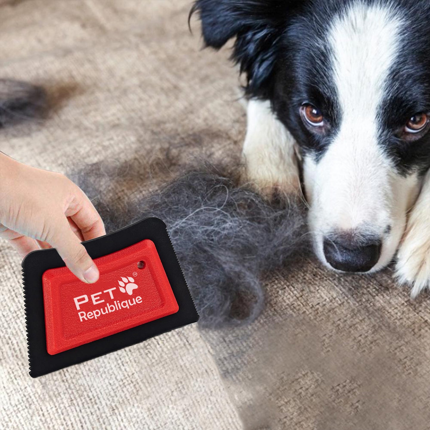 Pet Republique Pet Fur Removing Tool for Carpets & Upholstery