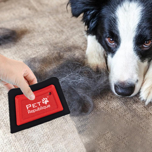 Pet Republique Pet Fur Removing Tool for Carpets & Upholstery